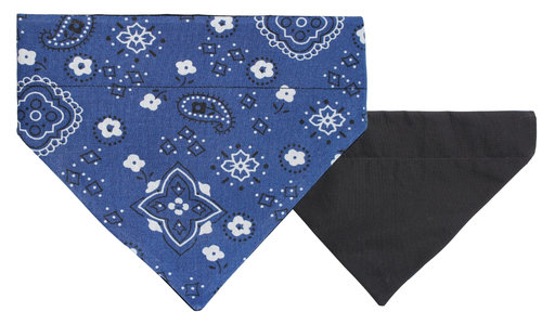 Royal Paisley - Medium