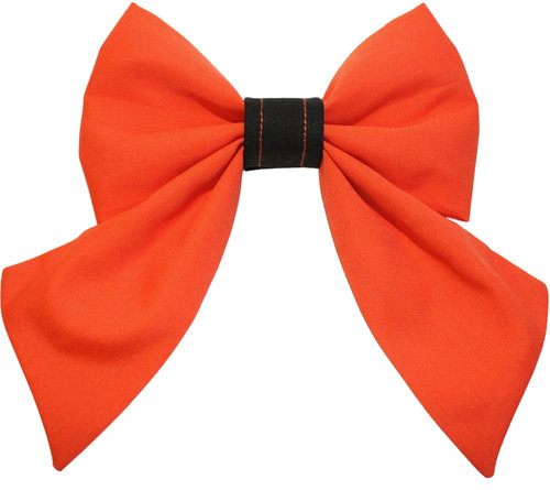 Pumpkin ∙ X-Small