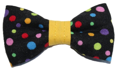 Rainbow Dots ∙ X-Small