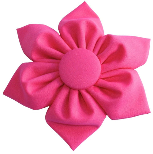 Fuchsia  ∙  X-Small